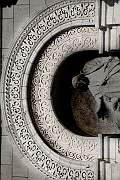 Wall_Art_Alphabet_Photography_Art_ 370
